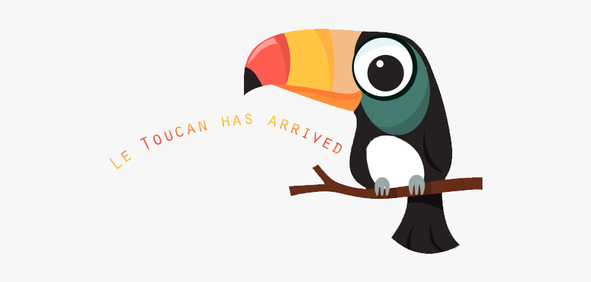 Tucan - Cute Toucan Clipart, HD Png Download, Free Download