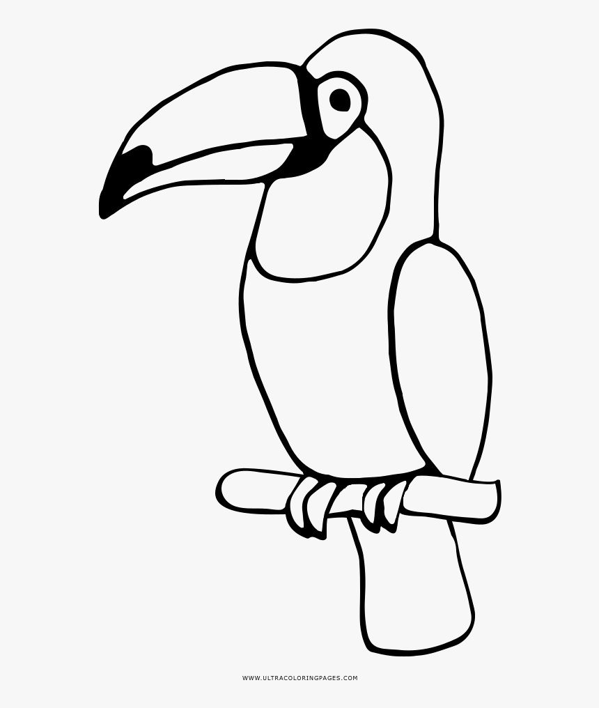 Toucan Coloring Page - Colouring Page Of A Toucan, HD Png Download, Free Download