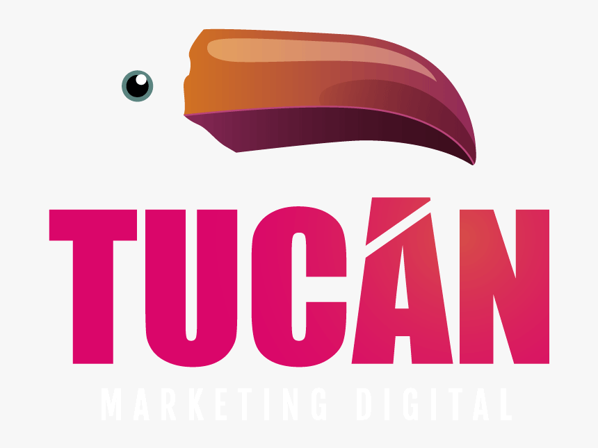 Tucan Png, Transparent Png, Free Download