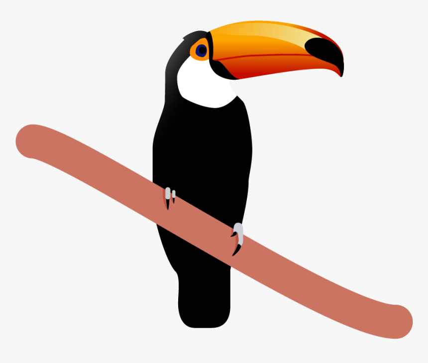 Toucan, HD Png Download, Free Download