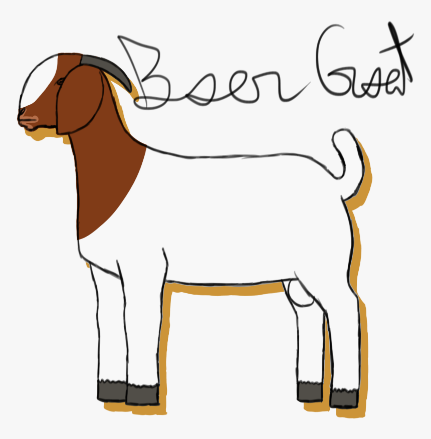Transparent Goat Clip Art - Boer Goat Clip Art, HD Png Download, Free Download