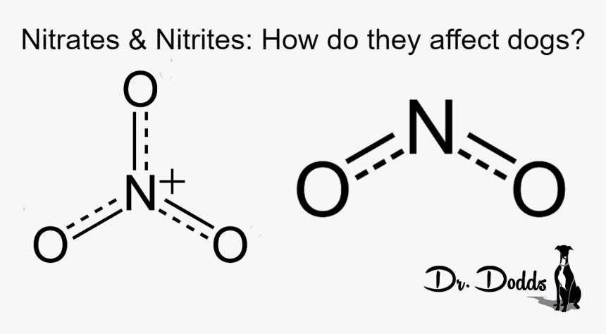 Nitrates And Nitrites - Dog Training, HD Png Download, Free Download