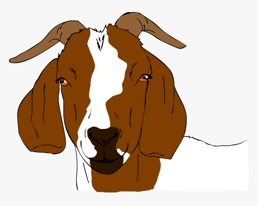 Boer Clip Art Drawings - Boer Goat Head Clipart, HD Png Download, Free Download