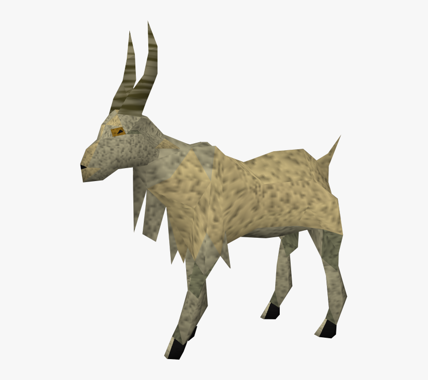 Transparent Goat Png - Burro, Png Download, Free Download