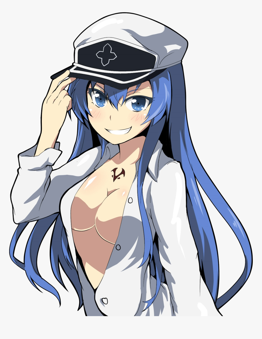 Akame Ga Kill Esdeath Lewd, HD Png Download is free transparent png image. 