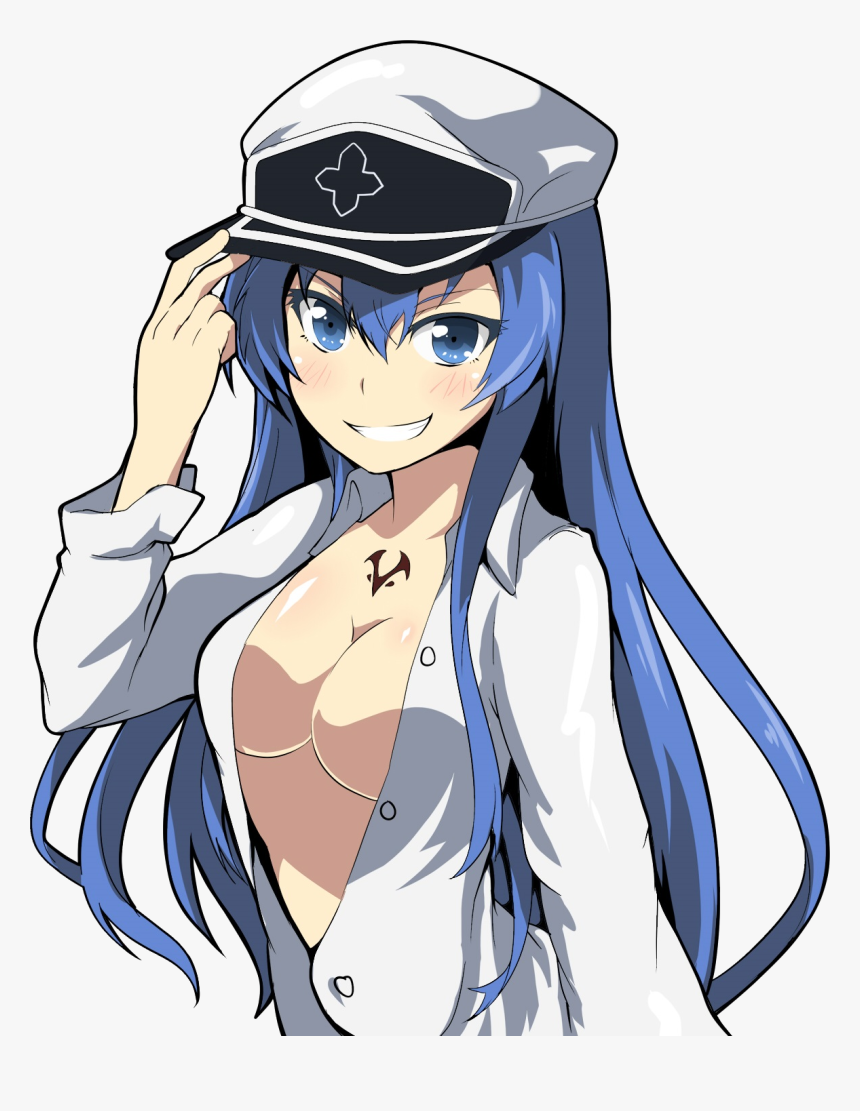 View Samegoogleiqdbsaucenao 1412833571058 , - Akame Ga Kill Esdeath Lewd, HD Png Download, Free Download