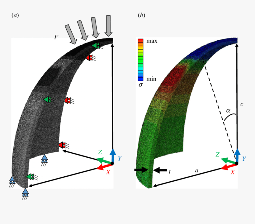 Boundary Condition Element Analysis, HD Png Download, Free Download