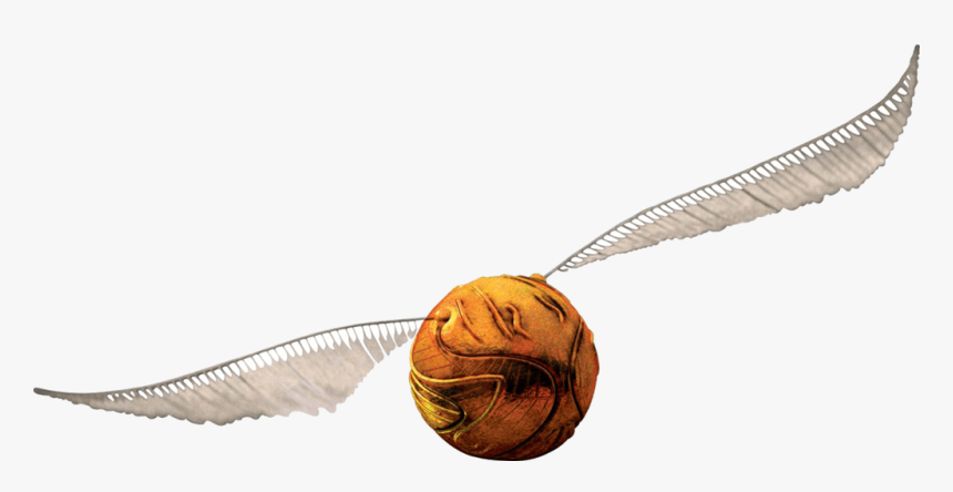Quidditch Harry Potter Png, Transparent Png, Free Download