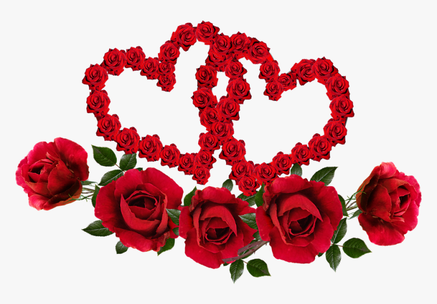 Valentine, Hearts, Entwined, Roses, Red, Flowers - Carte Saint Valentin 2019, HD Png Download, Free Download