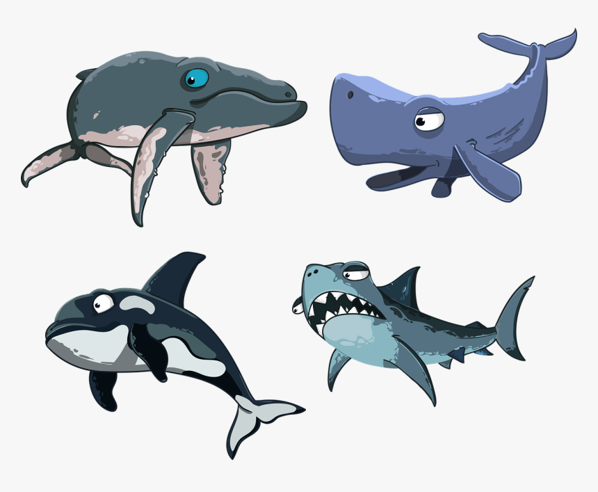 Transparent Sperm Png - Cartoon Sharks And Whales, Png Download, Free Download