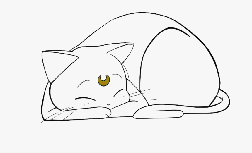 Transparent Tumblr Cat Png - Transparent Sailor Moon Luna Png, Png Download, Free Download