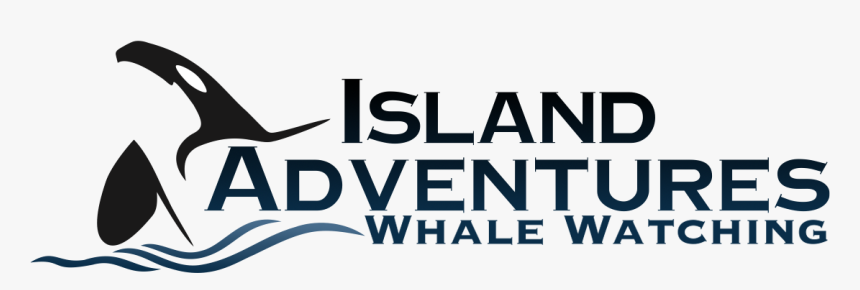 Island Adventures Logo - Island Adventures Whale Watching Anacortes, HD Png Download, Free Download
