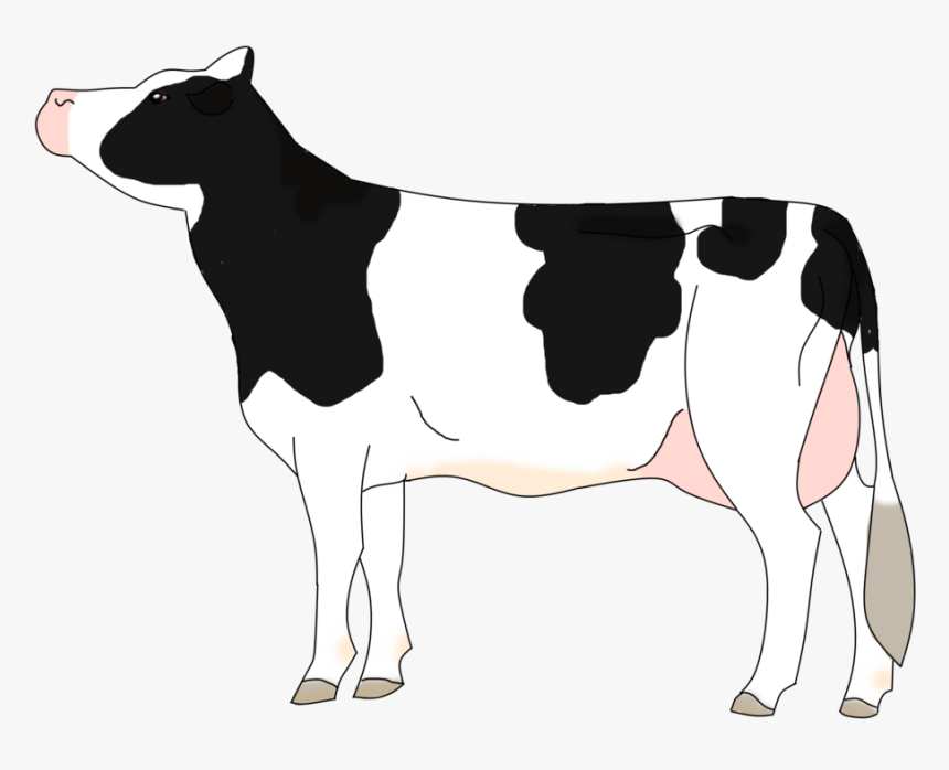 Drawing Cow Vector - Holstein Cow Cartoon, HD Png Download, Free Download