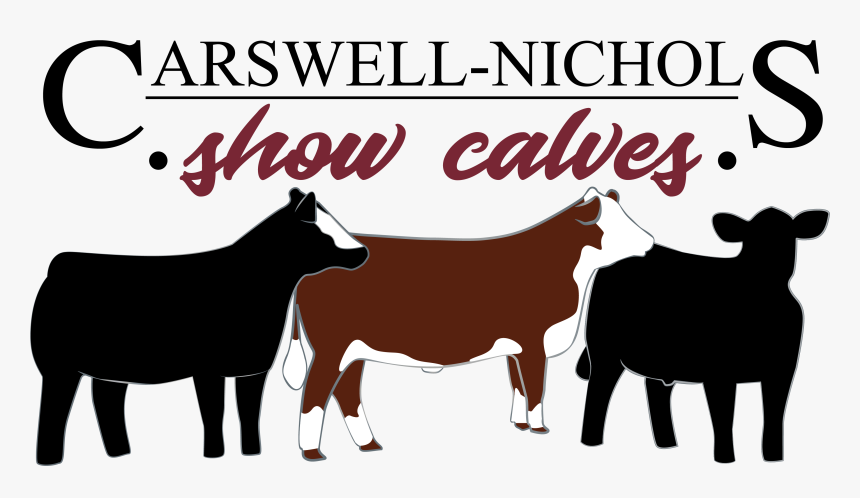 Transparent Calf Clipart - Dairy Cow, HD Png Download, Free Download