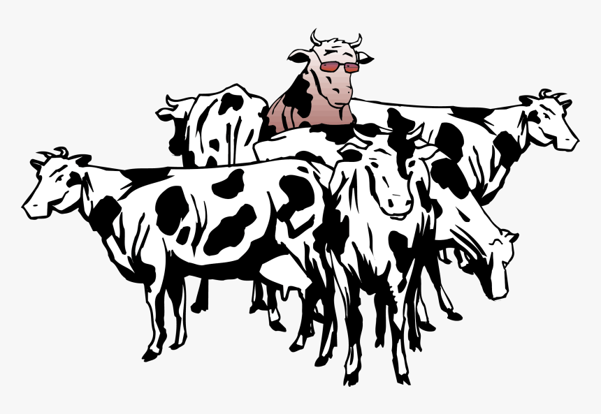 British White Cattle Beef Cattle Sheep Herd Clip Art, HD Png Download, Free Download