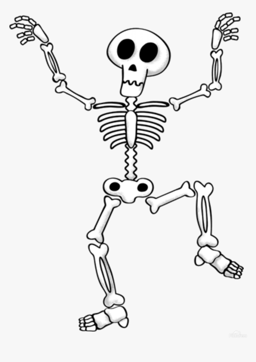 Skeleton Pictures To Print, HD Png Download, Free Download