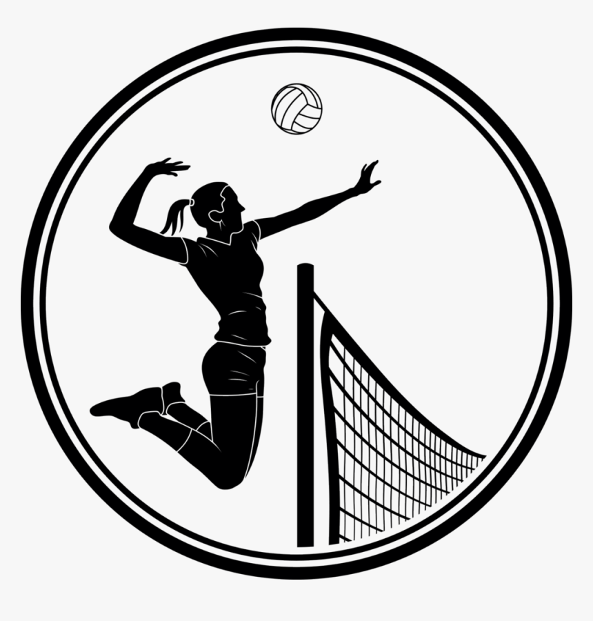 Collection Of Womens - Womens Playing Volleyball Clipart, HD Png Download, Free Download