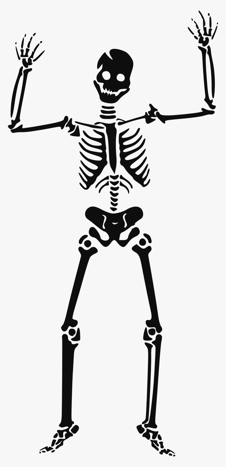 Halloween Skeleton Png Hd - Halloween Skeleton Clipart, Transparent Png, Free Download