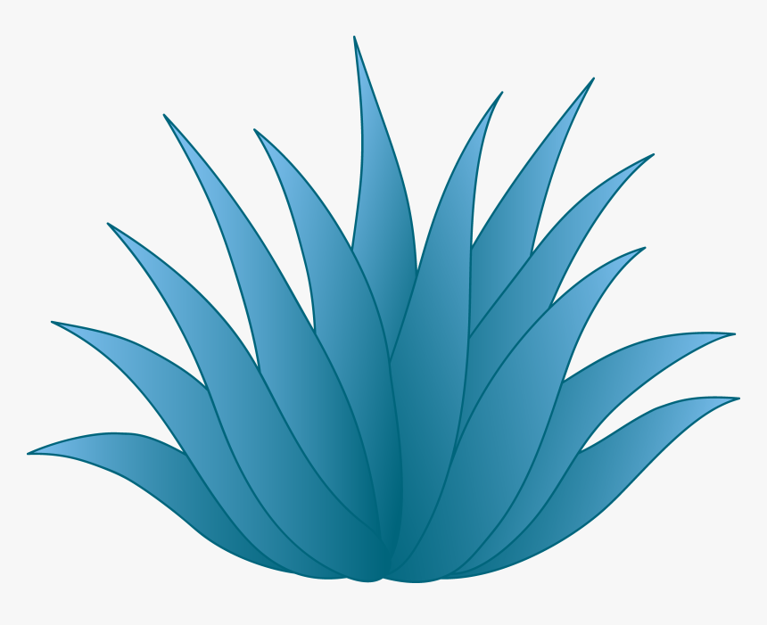 Agave Clip Art - Agave Plant Clip Art, HD Png Download, Free Download
