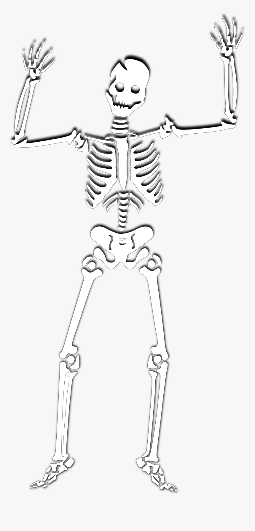 Skeleton Clip Art - Skeleton Cartoon Transparent Background, HD Png Download, Free Download