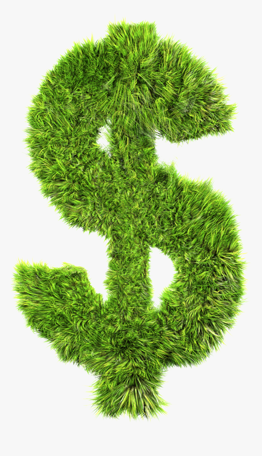 Dollar Sign Grass, HD Png Download, Free Download