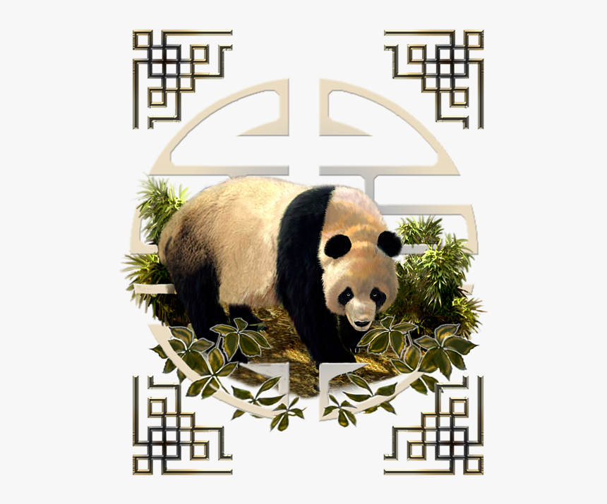 Panda, HD Png Download, Free Download