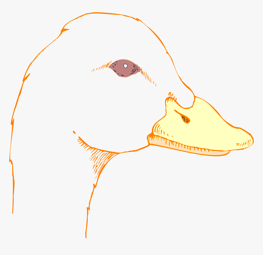 Drawing Of A Duck Head, HD Png Download, Free Download