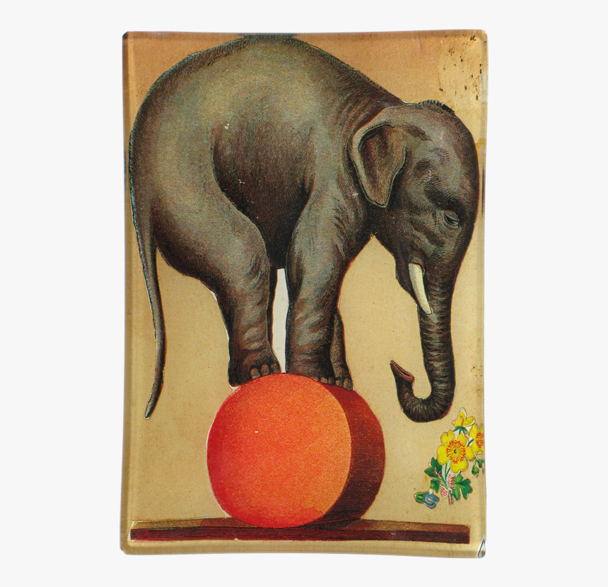 Vintage Circus Elephant, HD Png Download, Free Download