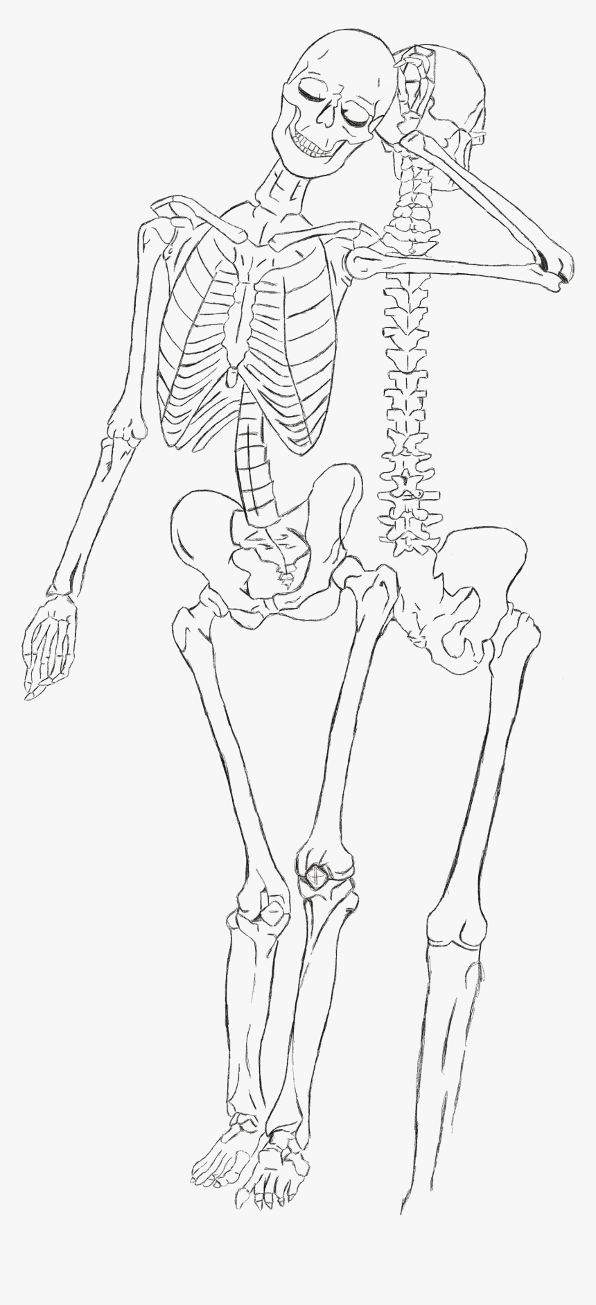 skeleton leg drawing