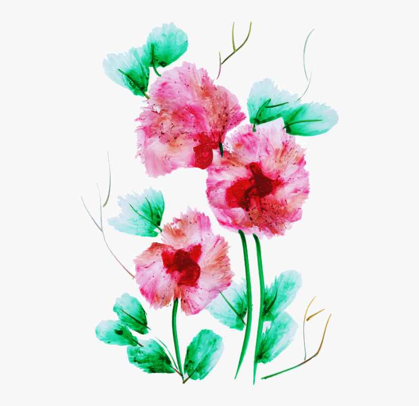 Sweet William, HD Png Download, Free Download