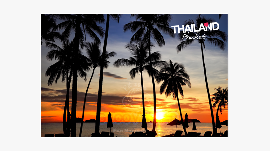 Coconut Tree And Sunset, HD Png Download, Free Download