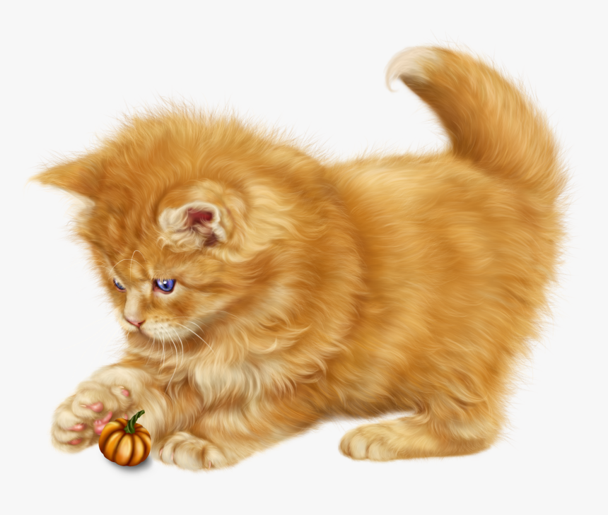 Pin By Lidia On - Transparent Cartoon Persian Cats, HD Png Download, Free Download