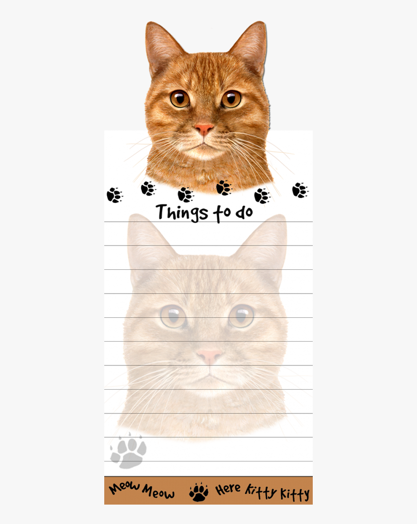 Tabby, Orange Cat - Domestic Short-haired Cat, HD Png Download, Free Download