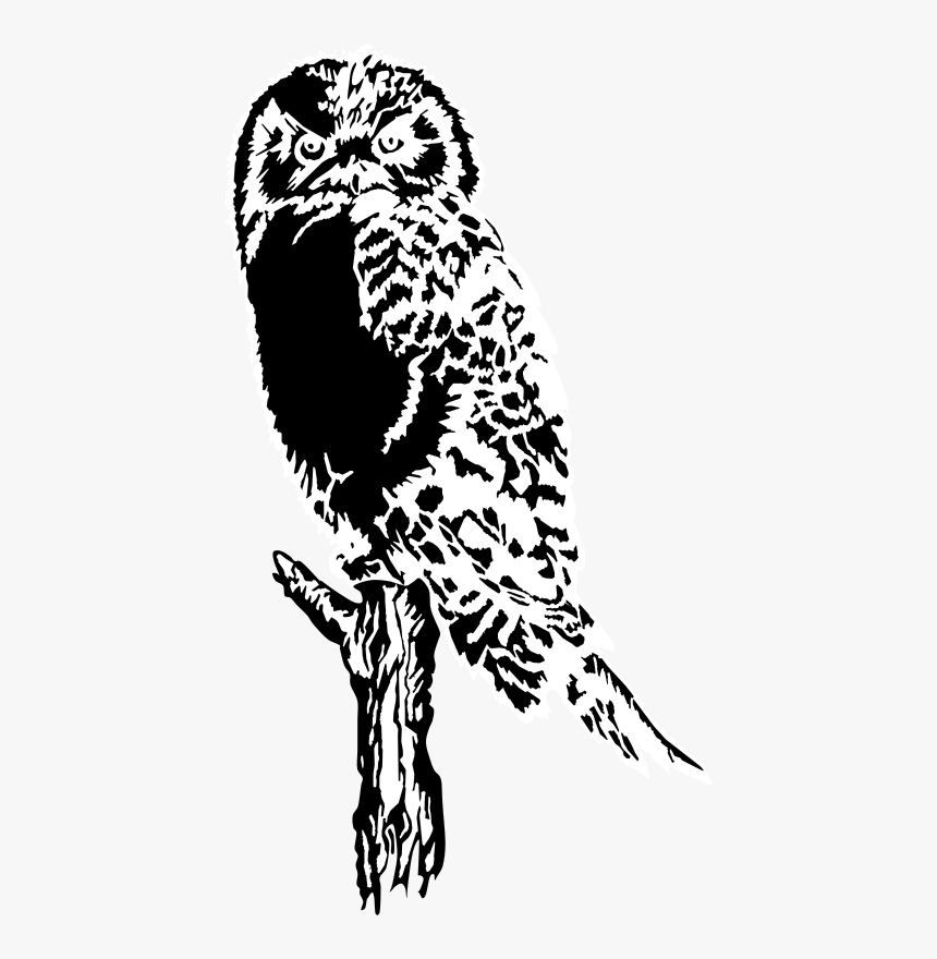 Owl,art,monochrome Photography - Owl Art White And Black, HD Png Download, Free Download