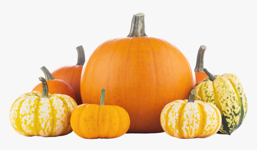 Pick Your Perfect Pumpkin - Pumpkin, HD Png Download, Free Download