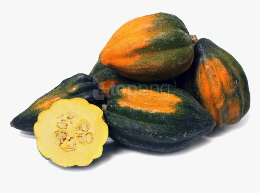 Transparent Gourds Clipart - Tipos De Abobora, HD Png Download, Free Download