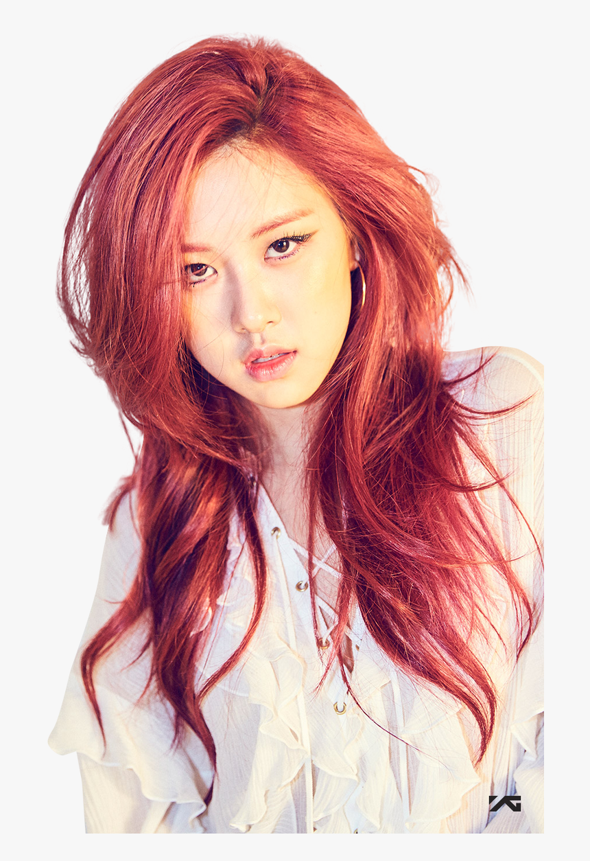 Blackpink Rose Png, Transparent Png, Free Download