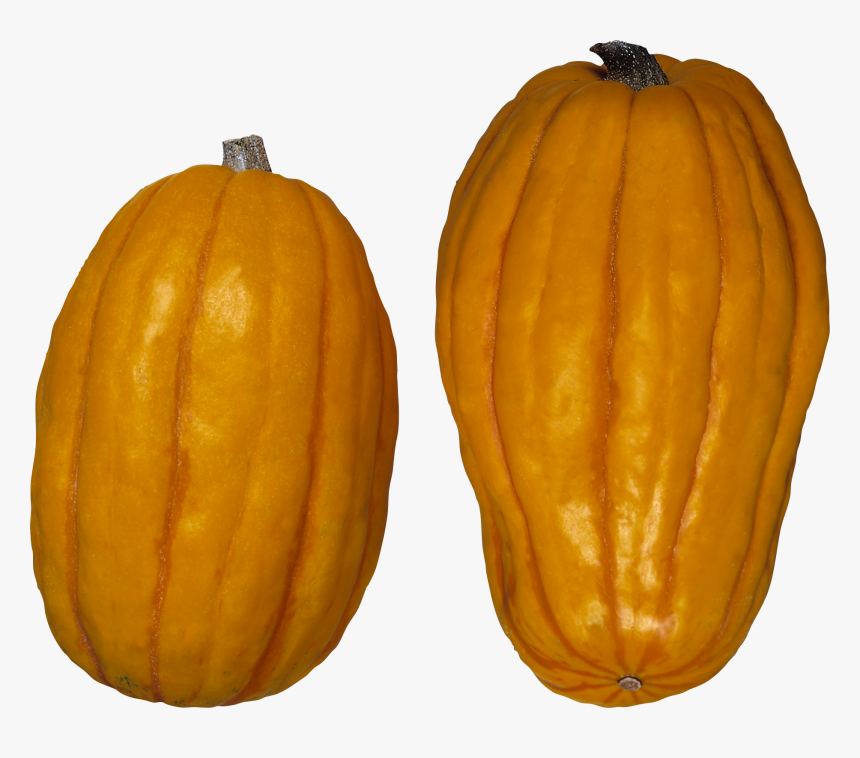 Pumpkin Png Image - Winter Squash, Transparent Png, Free Download