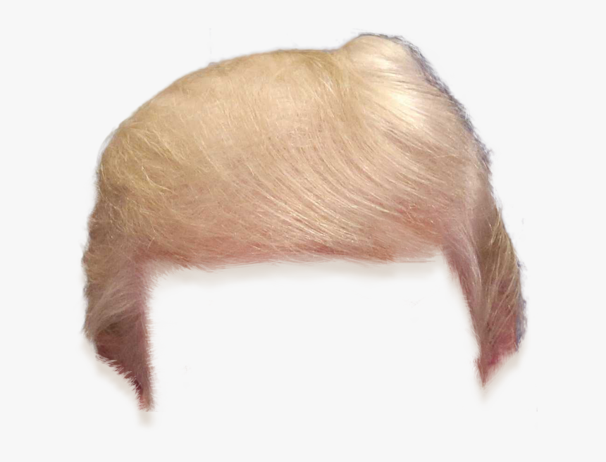 Trump Wig Transparent Background, HD Png Download, Free Download