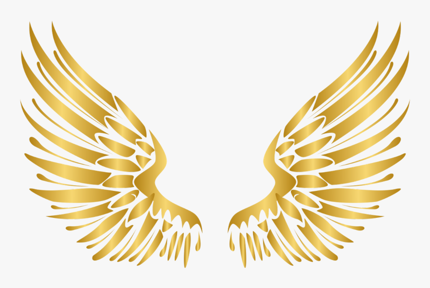Wings Gold Wing Angel Angels Angelwings Angelwing Golde - Neon Angel Wings Png, Transparent Png, Free Download