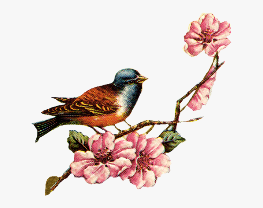 Vintage Bird And Flowers, HD Png Download, Free Download