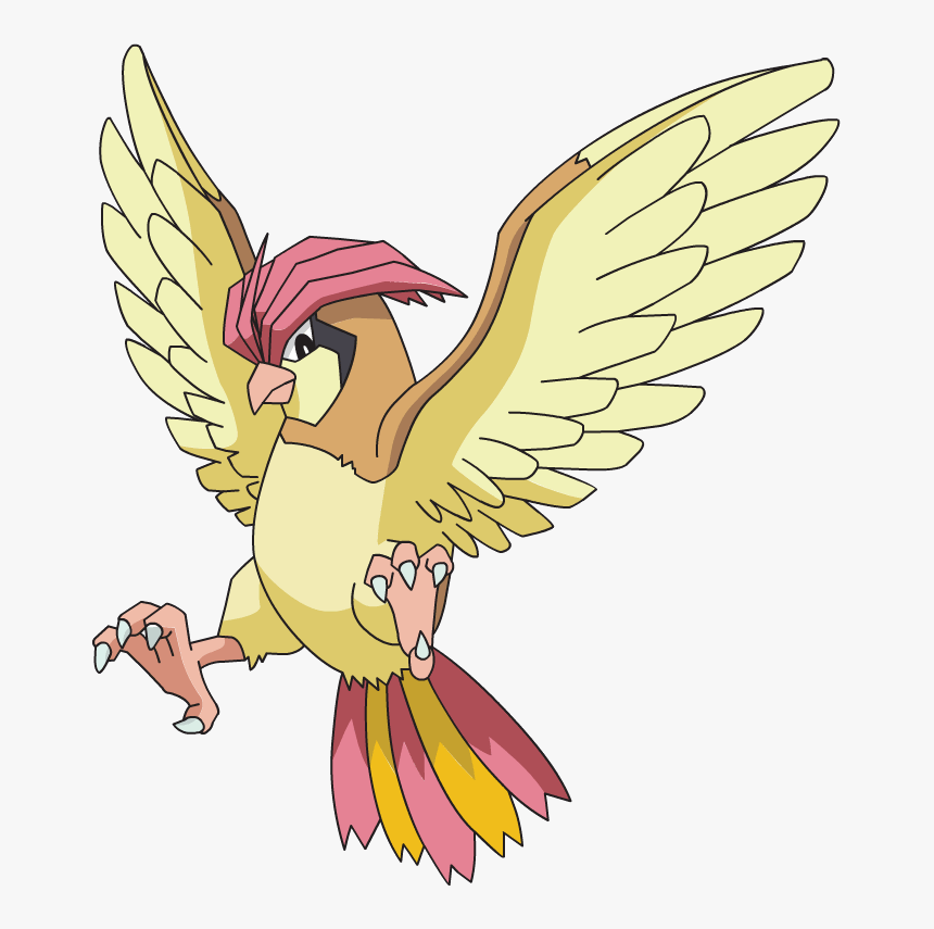 Pidgeotto Pokemon, HD Png Download, Free Download