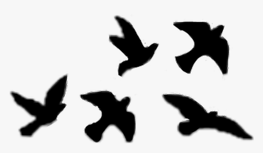 #pajaros #pajaritos #tumblr #libre - Its Time To Move On Quotes, HD Png Download, Free Download