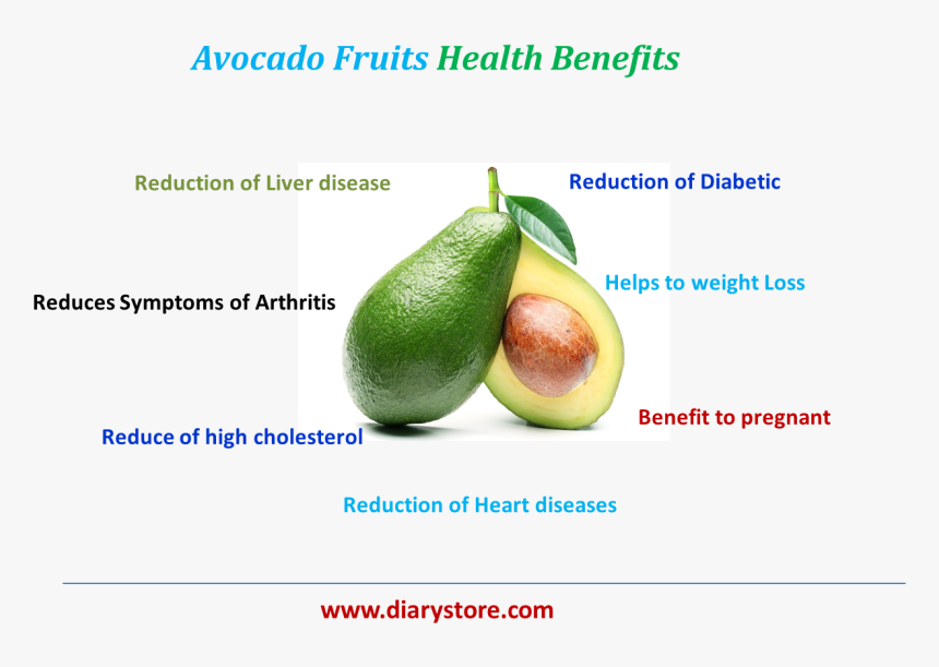 Clip Art Avocado Fruits And Nutritional - Avocado, HD Png Download, Free Download