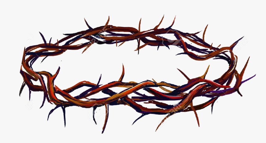 Crown Of Thorns Png Photo - Crown Of Thorns Png, Transparent Png, Free Download
