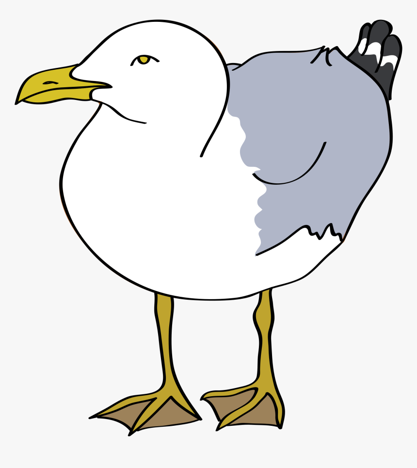 Clipart - Clip Art Seagull, HD Png Download, Free Download