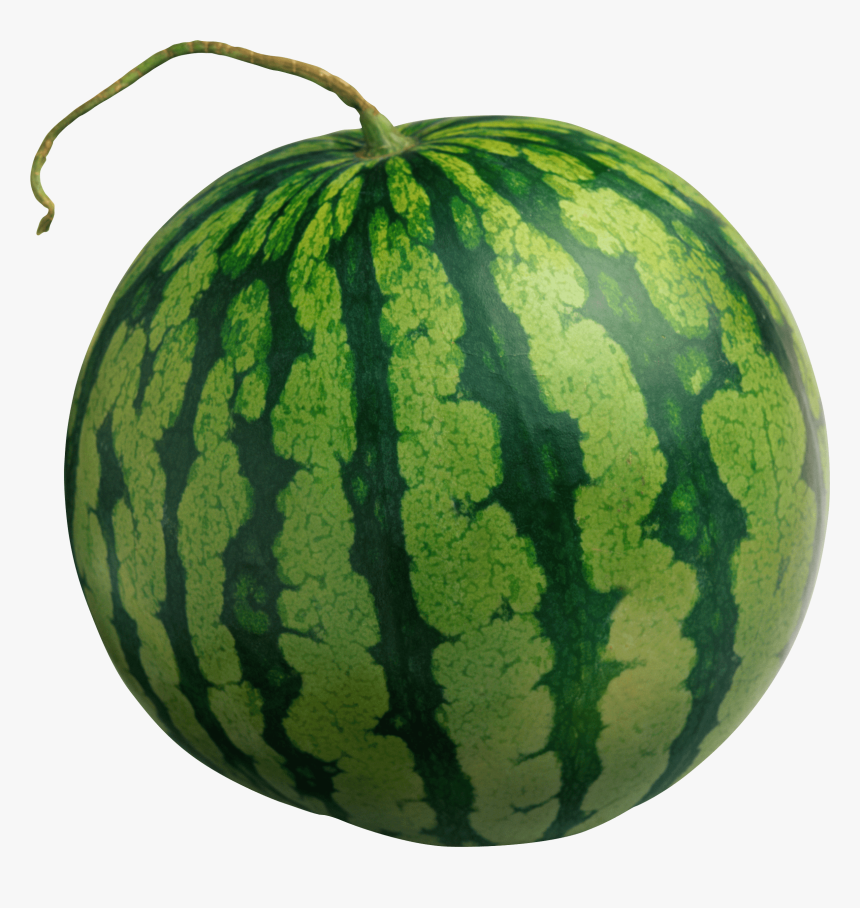Large Isolated Watermelon - Transparent Background Watermelon Png, Png Download, Free Download