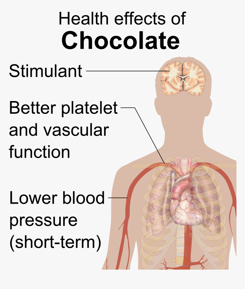 Health Effects Of Chocolate - Chocolate Effect On Health, HD Png Download, Free Download