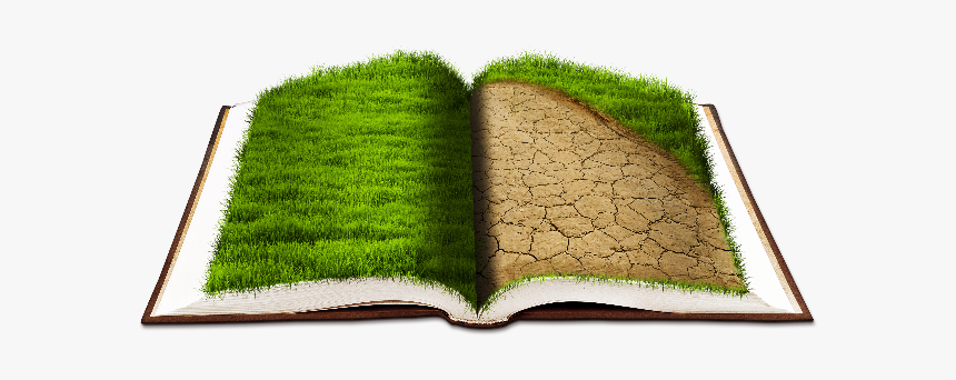 Open Book Png With Grass Texture - Open Book With Grass, Transparent Png, Free Download