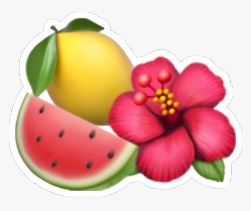#lemon #watermelon #emoji #tumblr #tropical #iphoneemoji - Flower Emoji, HD Png Download, Free Download